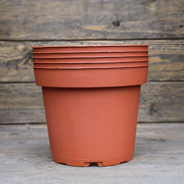 Pots 1L x5 pour plante Carnivore en plastique souple